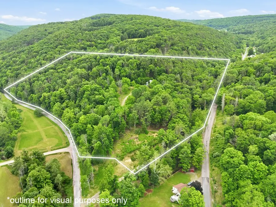 2947 Orcutt Creek Rd, Sayre, PA 18840 - #3