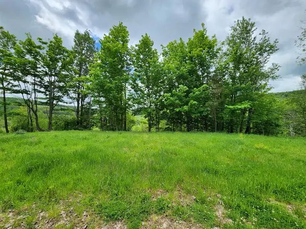 77 Sperry Young Rd, Sabinsville, PA 16943