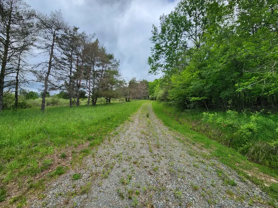 77 Sperry Young Rd, Sabinsville, PA 16943 - #2
