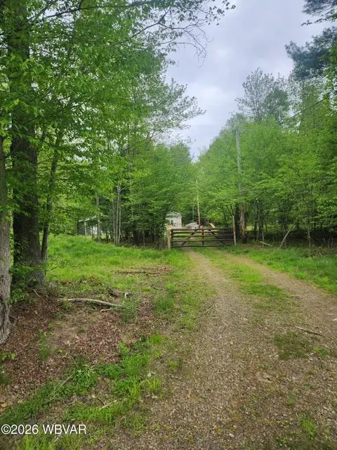 980 State Route 4007, Forksville, PA 18616 - #3