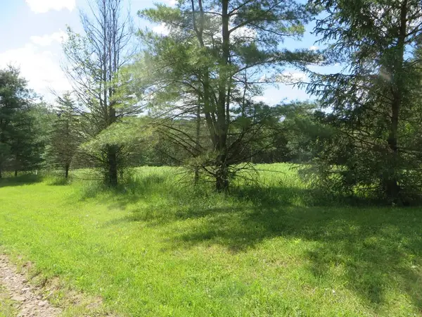 0 Roland Road, Shunk, PA 17768