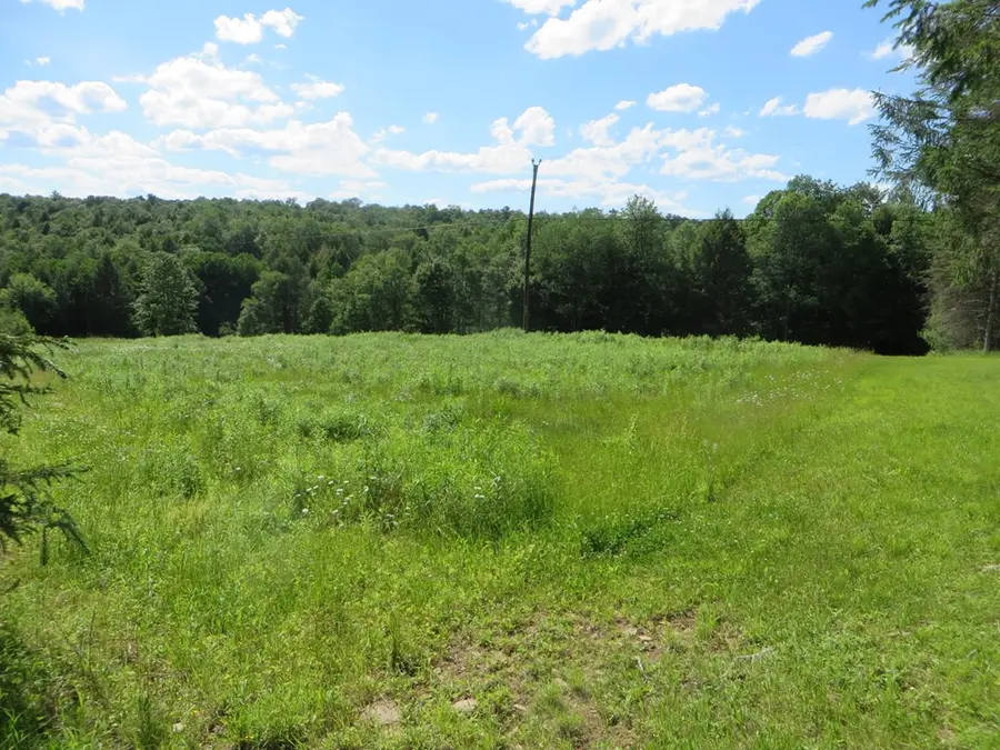 0 Roland Road, Shunk, PA 17768 - #2