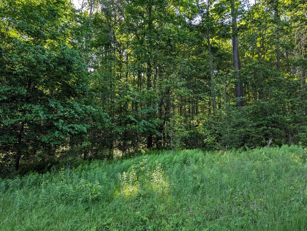 00 Neefe Road, Coudersport, PA 16915 - #1