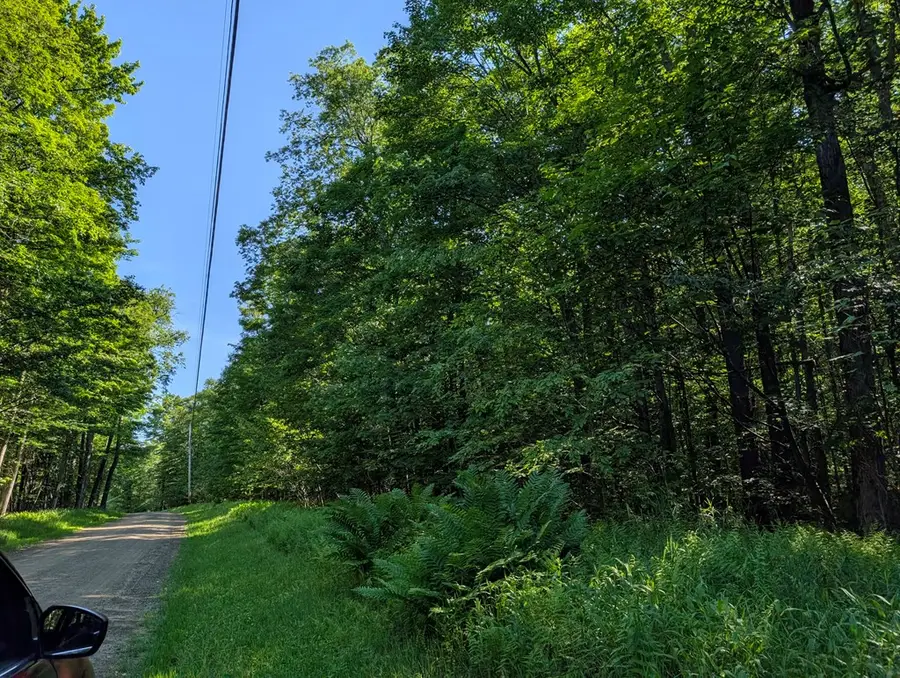 00 Neefe Road, Coudersport, PA 16915 - #3
