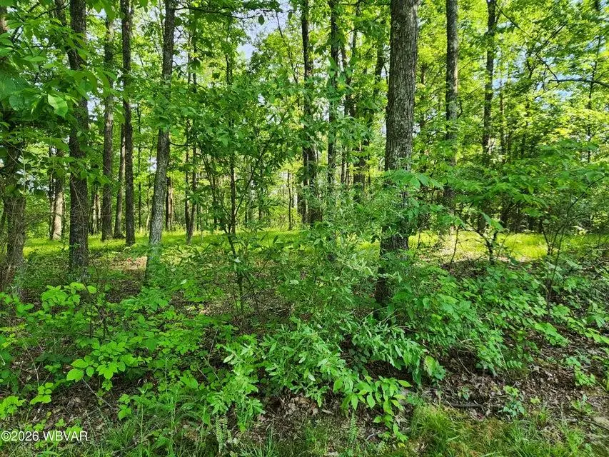 279 Oak Lane Lot 79, Muncy Valley, PA 17758 - #1