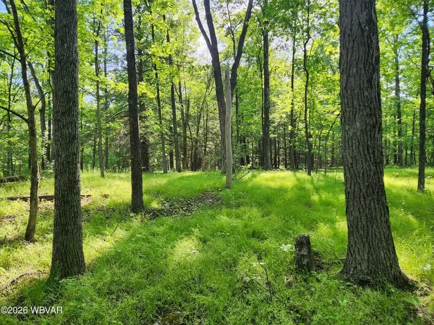 279 Oak Lane Lot 79, Muncy Valley, PA 17758 - #2