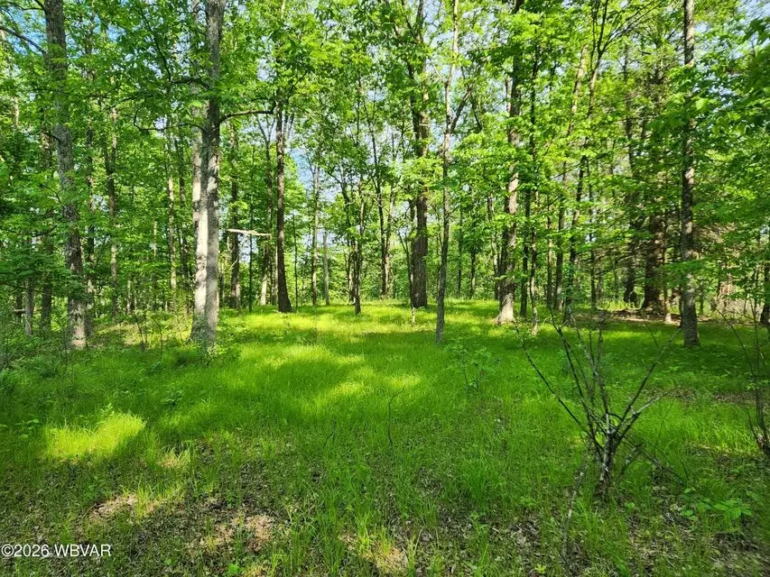 279 Oak Lane Lot 79, Muncy Valley, PA 17758 - #3