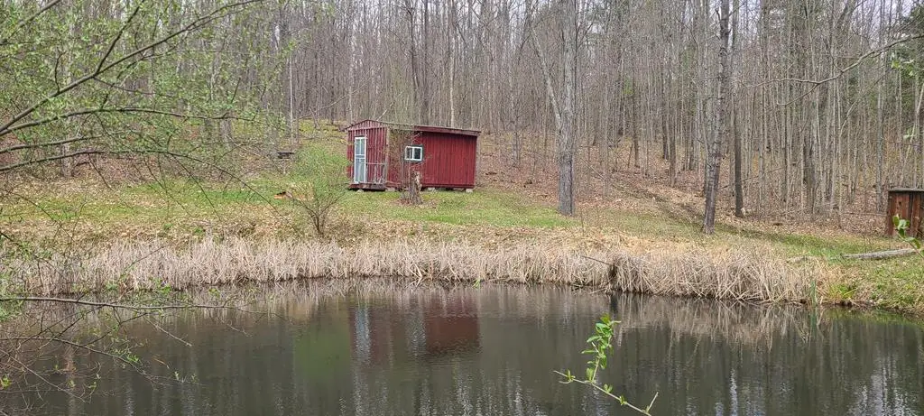 0 Gibson Rd, Lindley, NY 14858 - #1