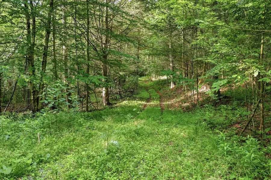 2 Ely Road, New Albany, PA 18833 - #3