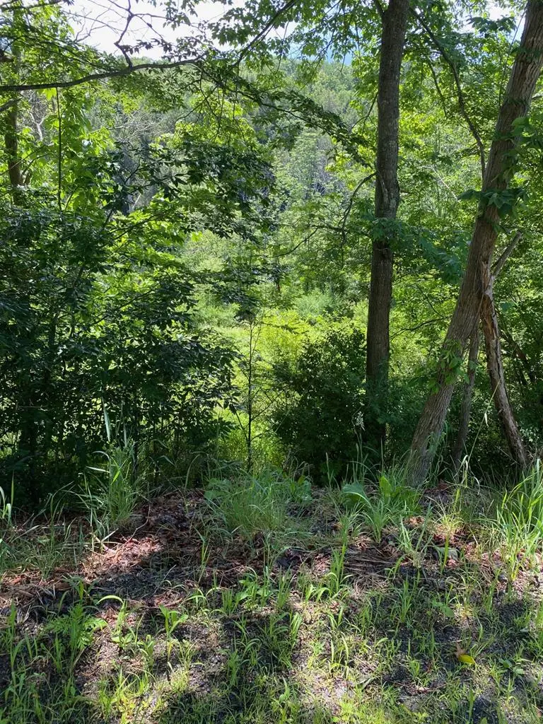 00 Balsam Road, Wellsboro, PA 16901 - #1