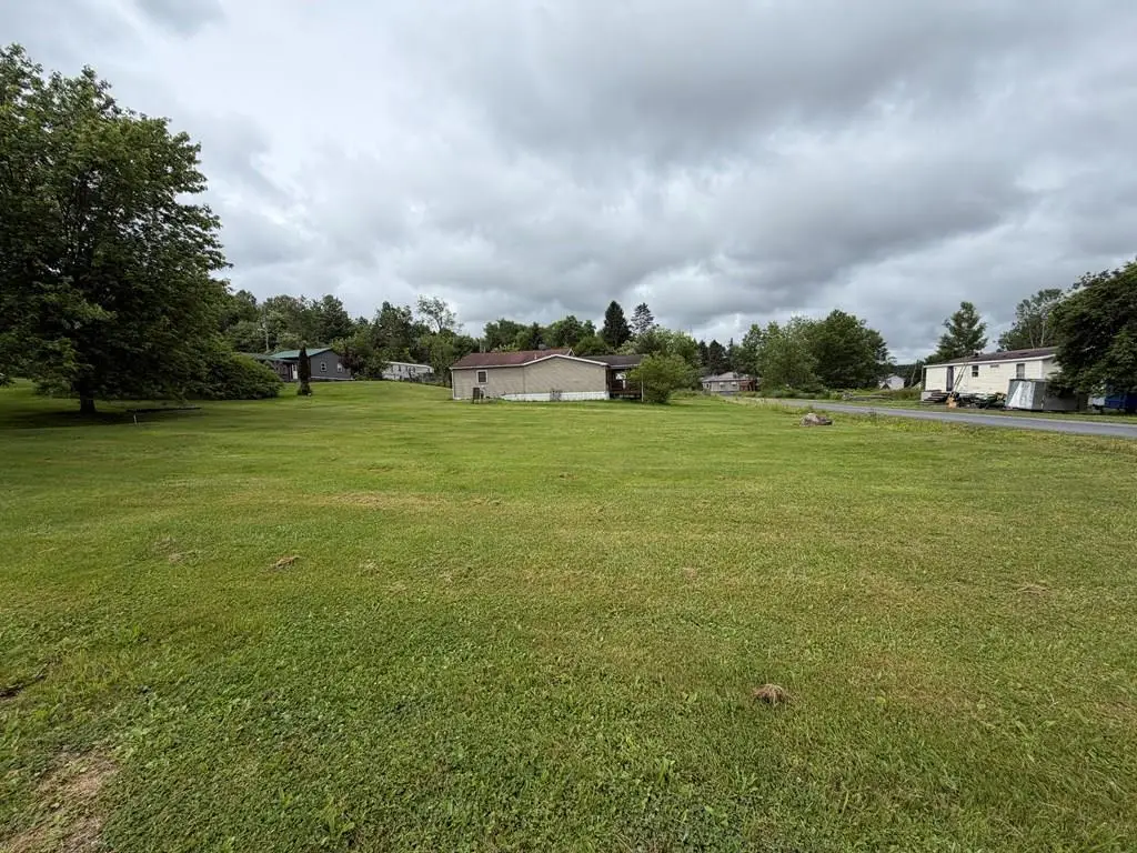 00 Log Row Street, Blossburg, PA 16912 - #1