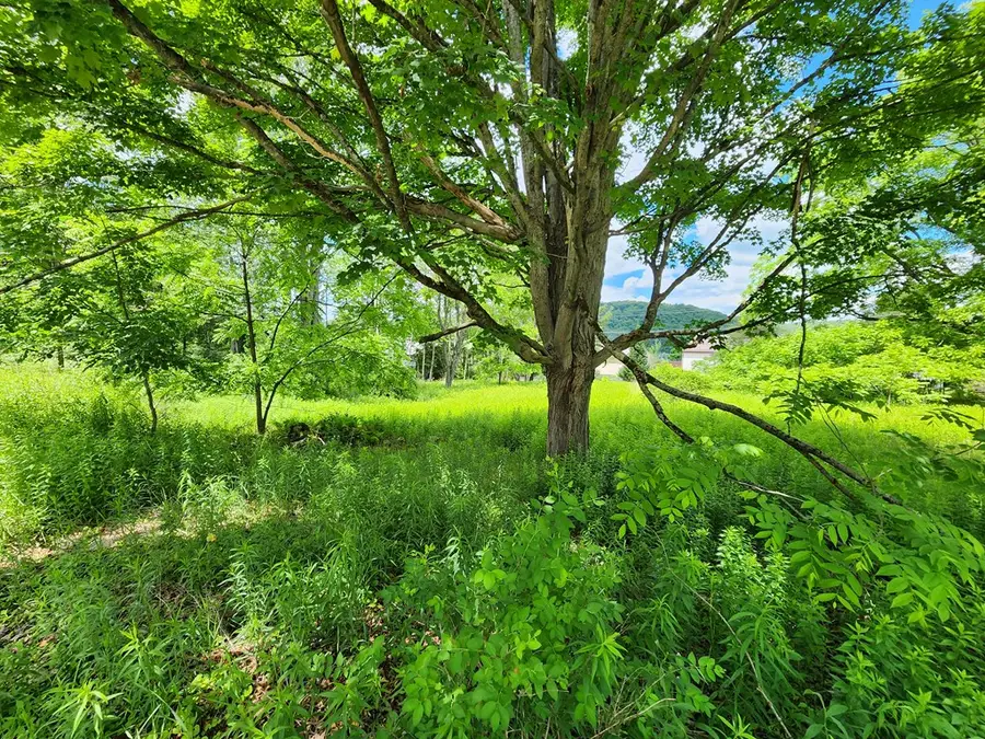 1002 S Main St, Coudersport, PA 16915 - #2