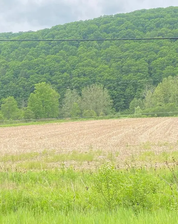 0 State Route 34, Lockwood, NY 14859
