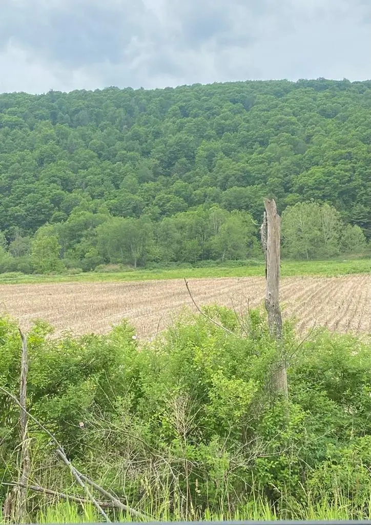 0 State Route 34, Lockwood, NY 14859 - #1