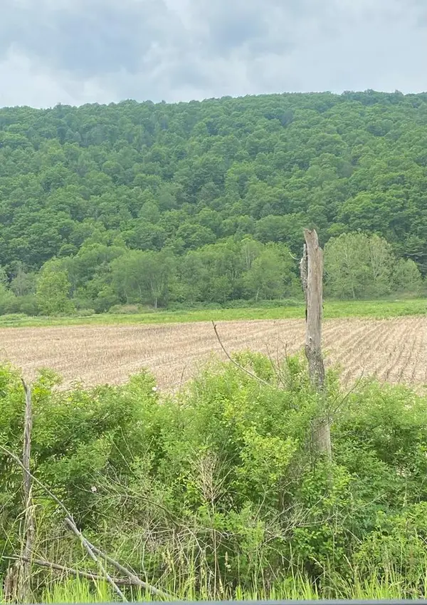 0 State Route 34, Lockwood, NY 14859