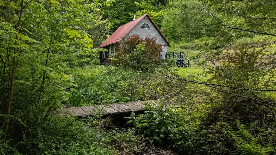 511 Steam Mill Rd, Wellsboro, PA 16901 - #3