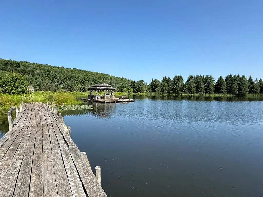 1731 West Hill Road, Covington, PA 16917 - #1