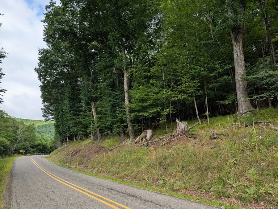 00 Rose Lake Road, Coudersport, PA 16915 - #2