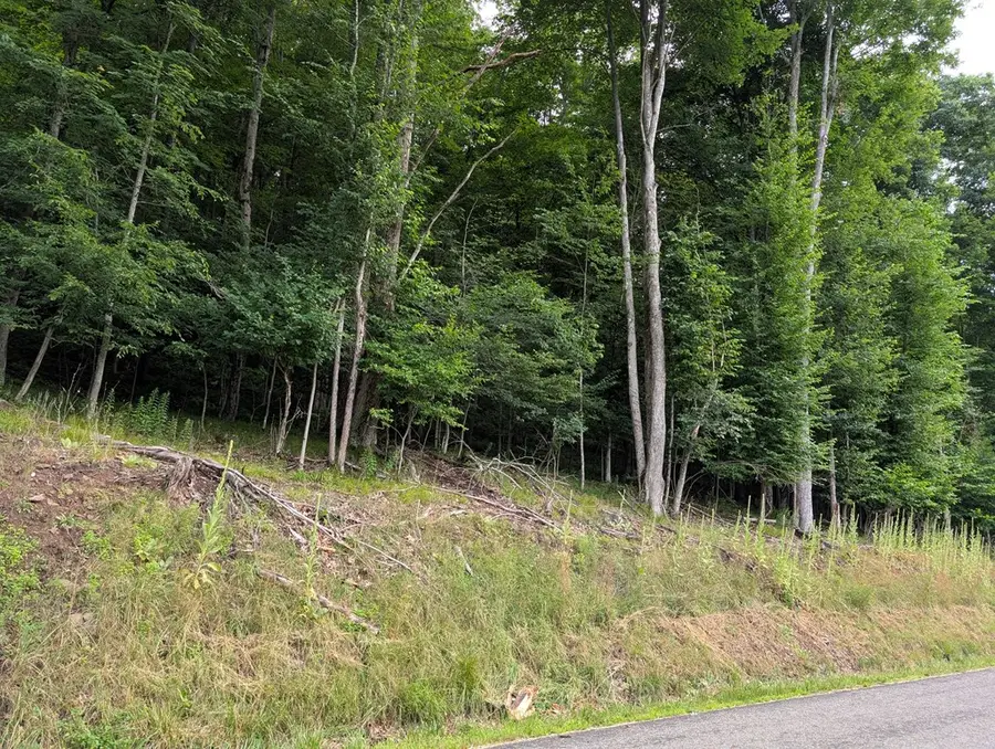 00 Rose Lake Road, Coudersport, PA 16915 - #3