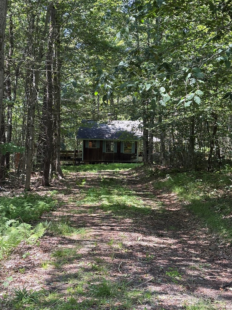 198 N. Baker Hollow Rd., Coudersport, PA 16915 - #2