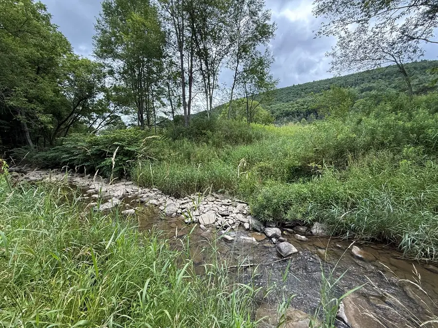 102 West Main Street, Harrison Valley, PA 16927 - #3