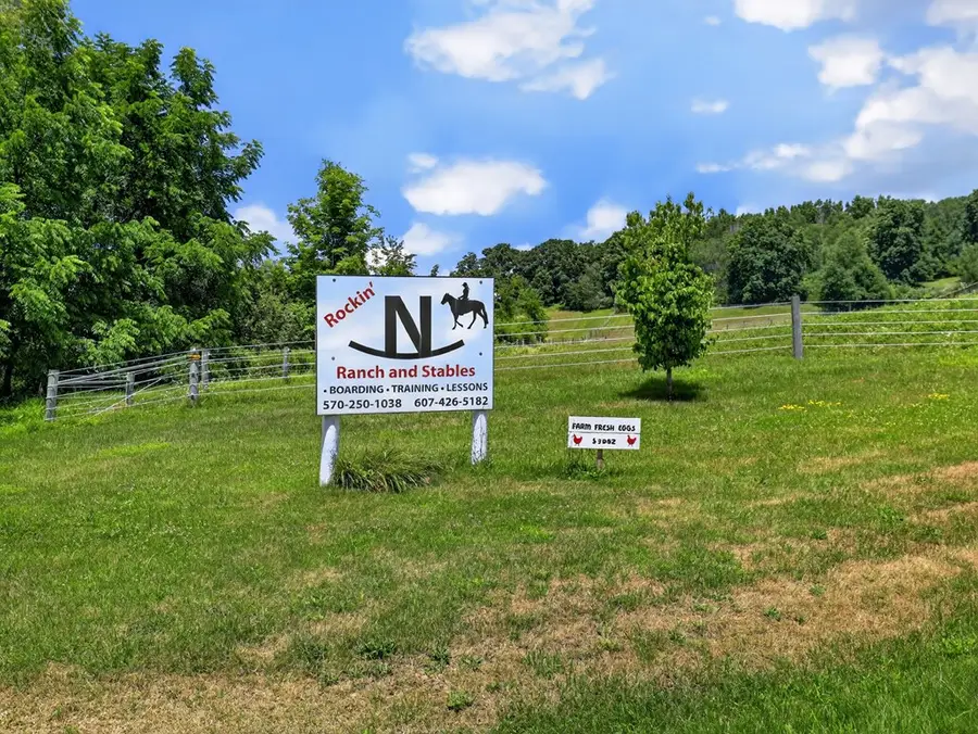 3323 Wolcott Hollow Road, Athens, PA 18810 - #2