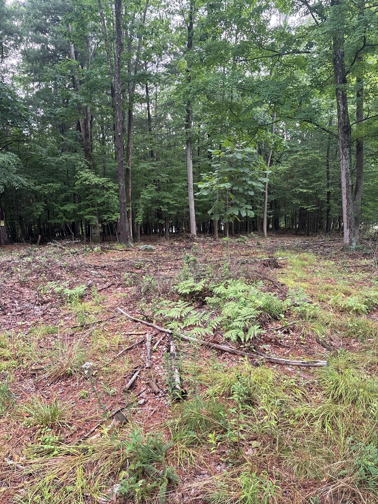 route 154, Canton, PA 17724 - #3