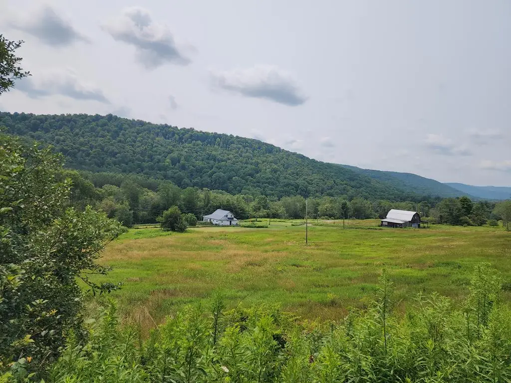 1639 Eleven Mile Rd, Oswayo, PA 16012 - #1