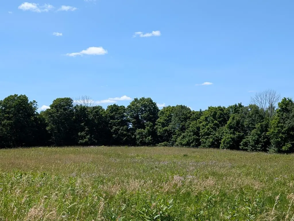 00 Ayres Road, Gillett, PA 16925 - #1
