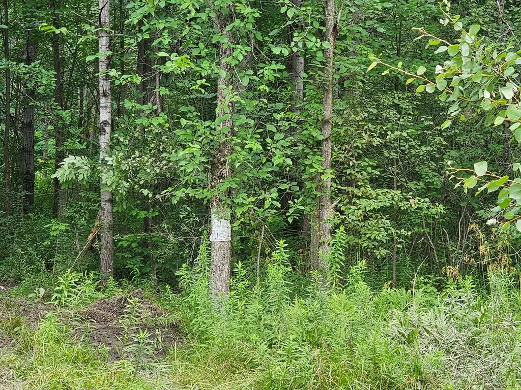 Lot E Burfield Road, Osceola, PA 16942 - #1