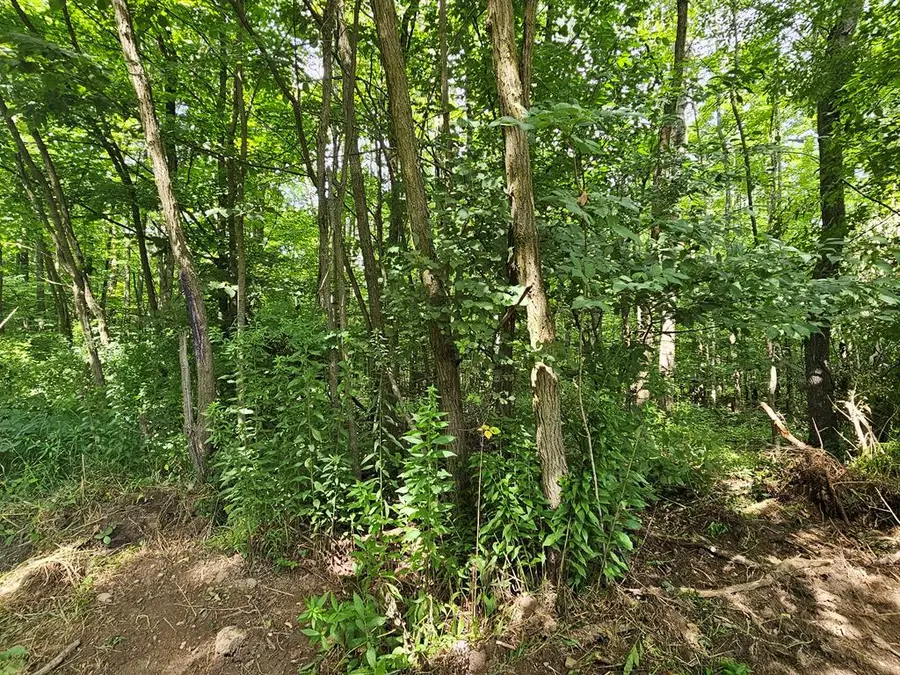 Lot E Burfield Road, Osceola, PA 16942 - #2