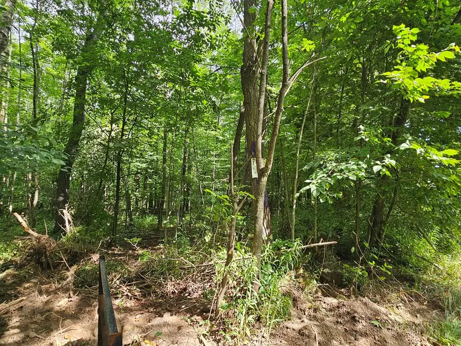 Lot E Burfield Road, Osceola, PA 16942 - #3