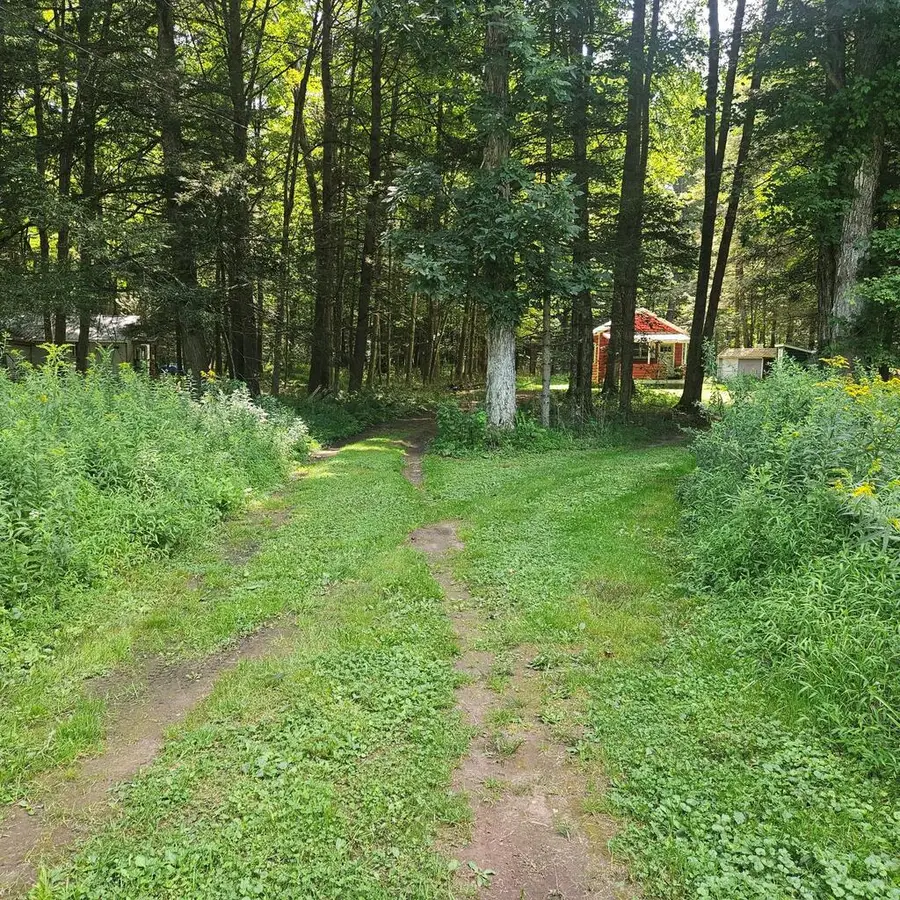 2036 Route 414 Hwy, Morris, PA 16938 - #2