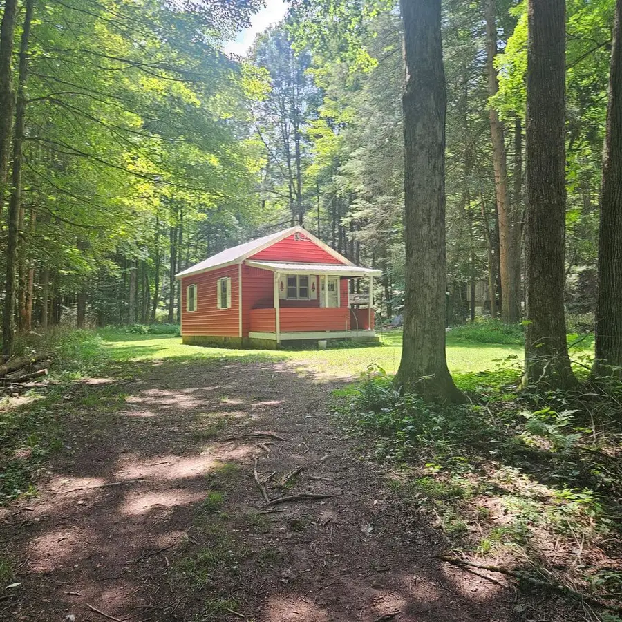 2036 Route 414 Hwy, Morris, PA 16938 - #3