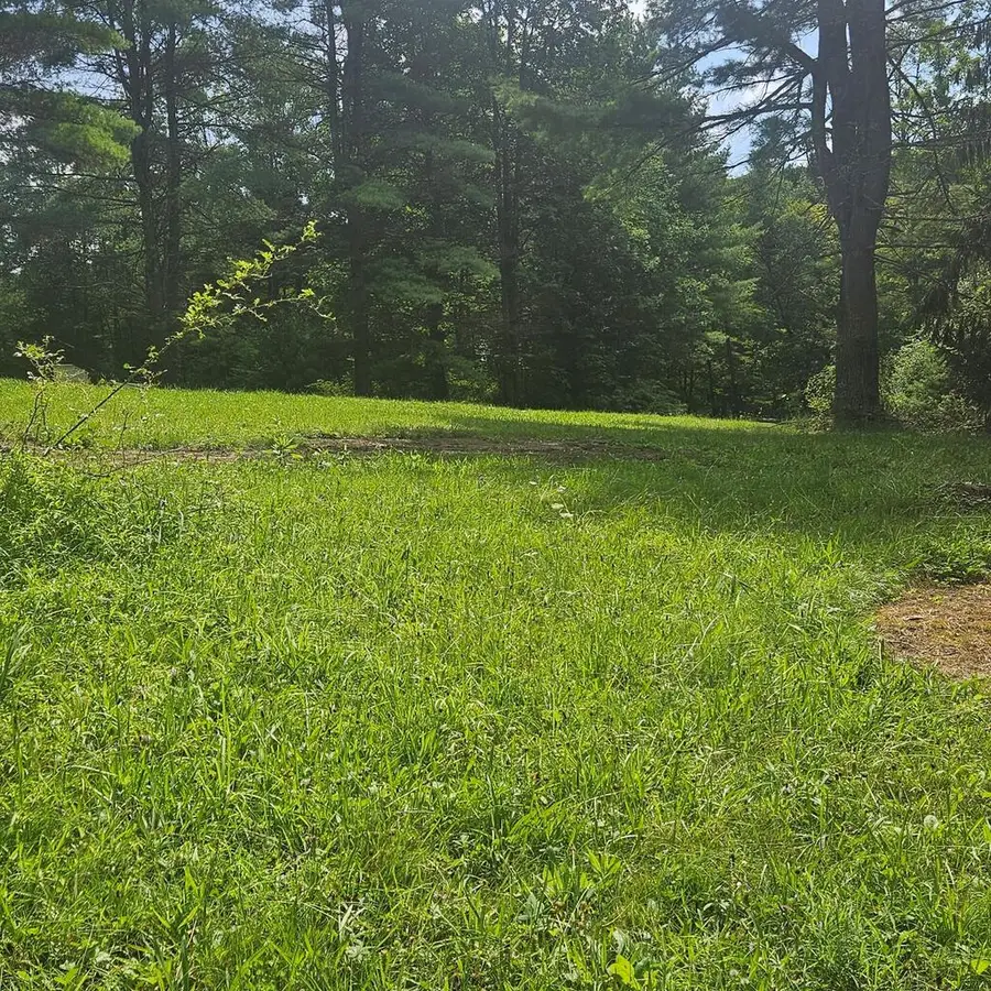 524 Bob Rd, Morris, PA 16938 - #3