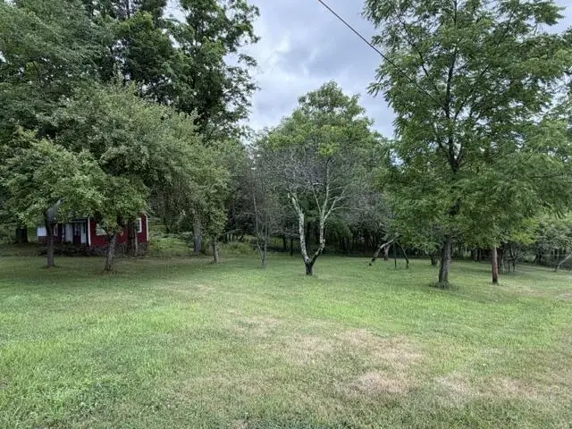 114 Stoney Point Rd, Wyalusing, PA 18853 - #3