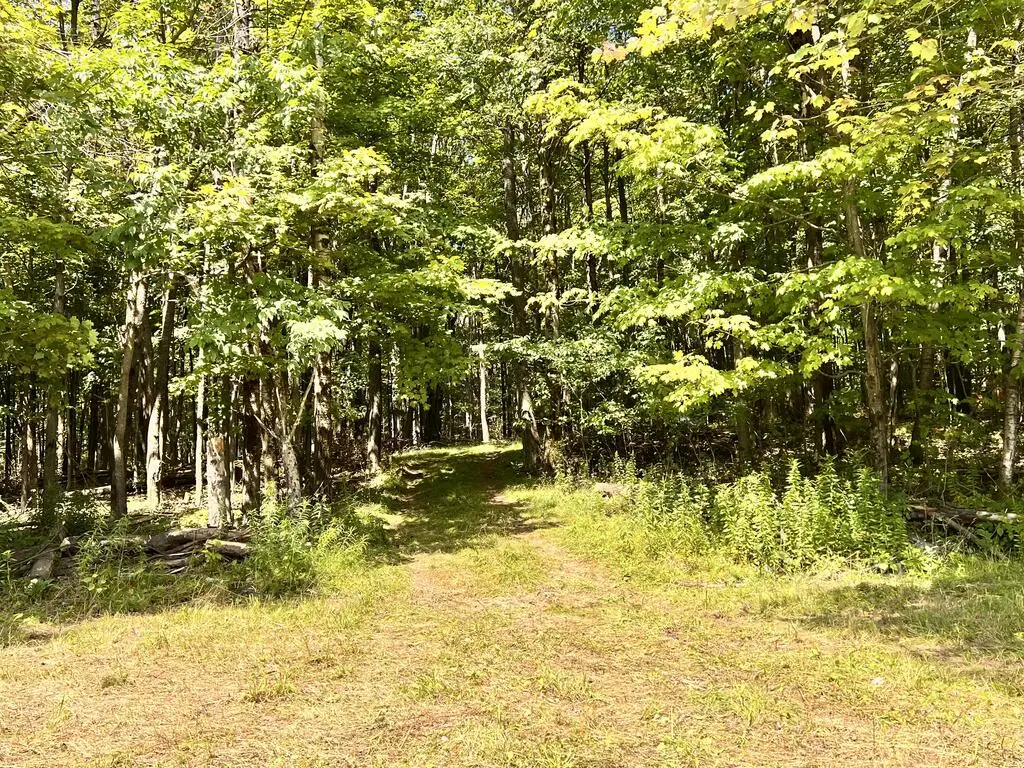 1573 White Knoll Rd, Ulysses, PA 16948 - #1