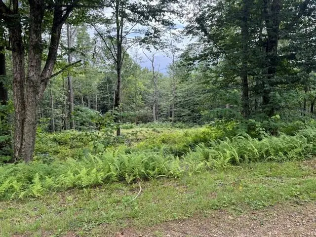 41 Melglen Lane, Coudersport, PA 16915 - #3