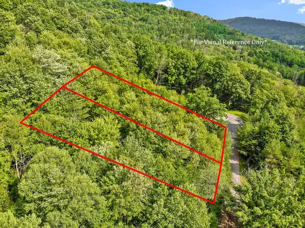 00 Lots # 18 & 19 Max Roys Drive, Port Allegany, PA 16743