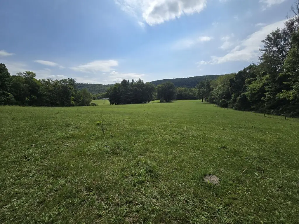 0 Wildwood Rd, Sayre, PA 18840 - #1