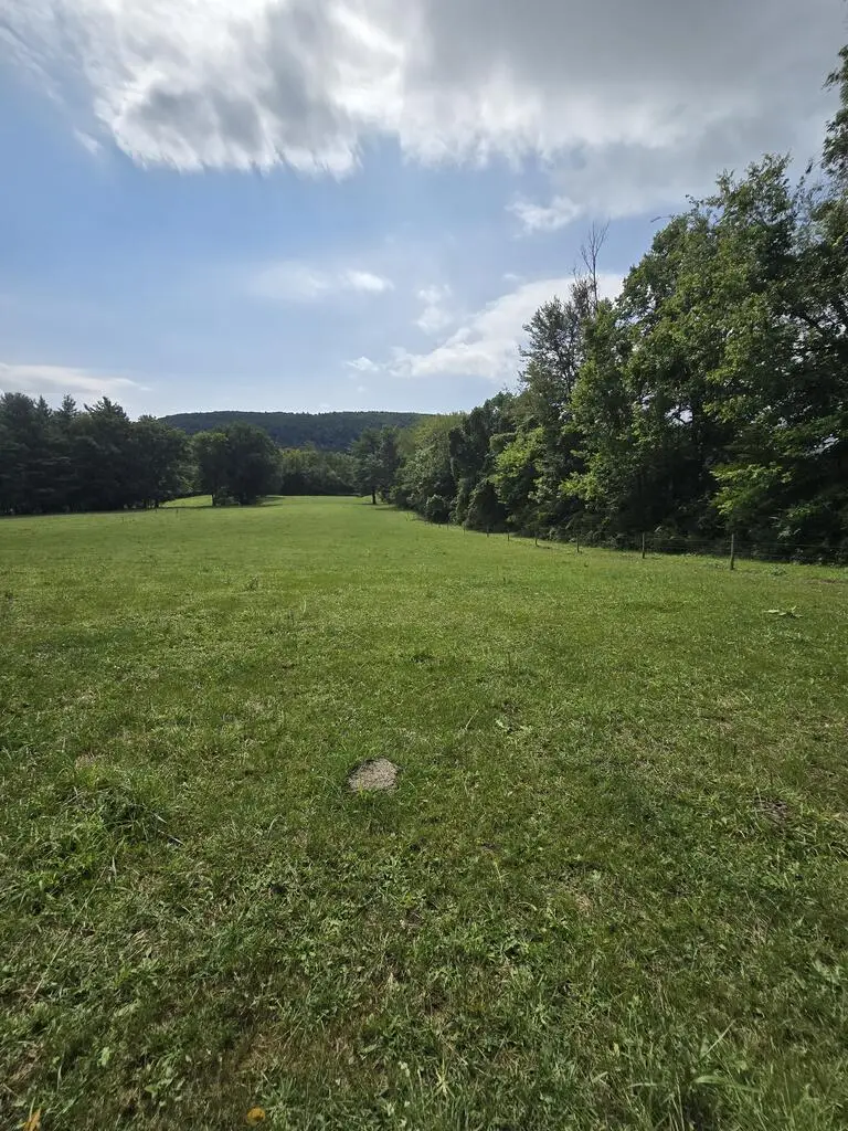 0 Wildwood Rd, Sayre, PA 18840 - #2