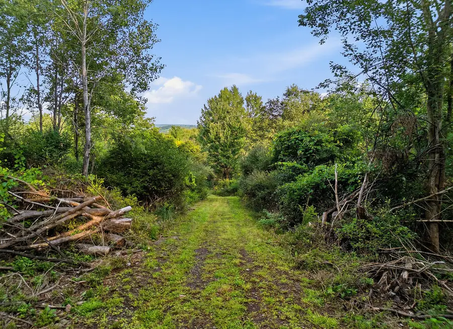 923 E Mulberry Hill Road, Mansfield, PA 16933 - #2