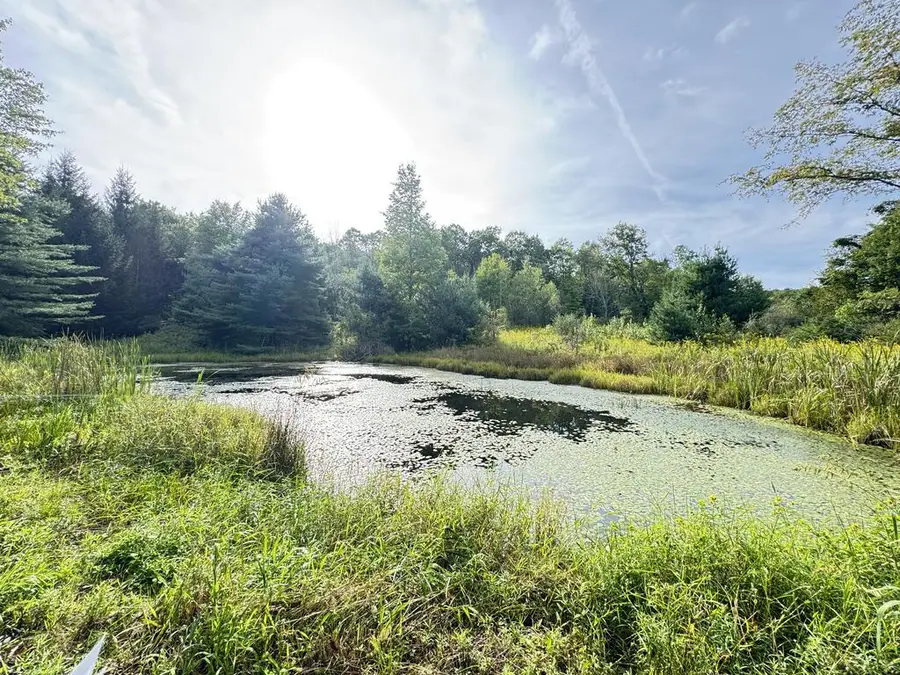 1172 Lamb Rd, Rome, PA 18837 - #2