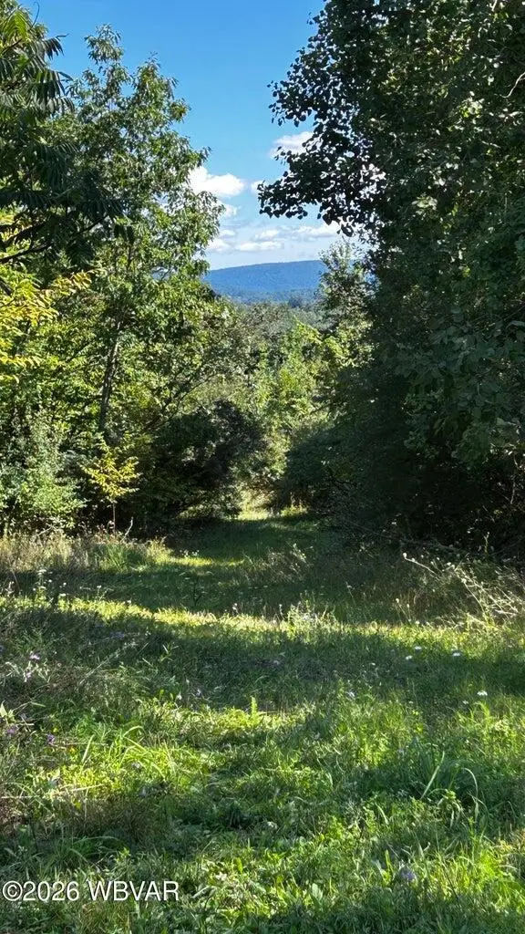 029 Route 187, Wyalusing, PA 18853 - #1