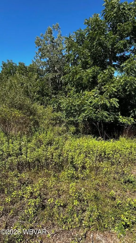 029 Route 187, Wyalusing, PA 18853 - #2