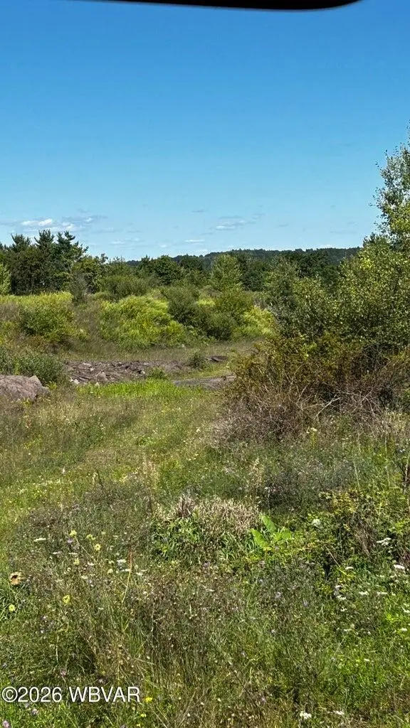 029 Route 187, Wyalusing, PA 18853 - #3