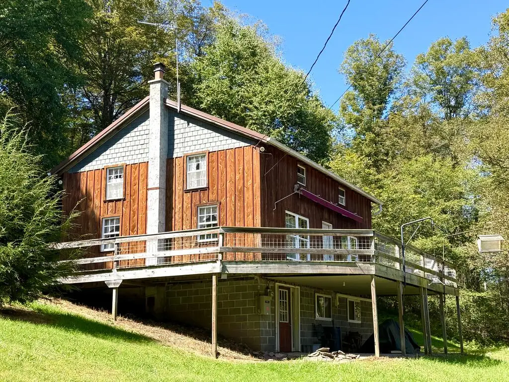 225 Porky Pine Trail, Austin, PA 16720 - #1