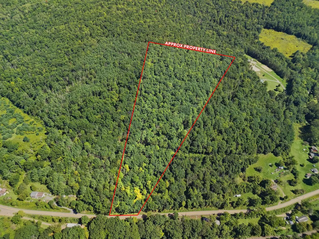 0 River Rd, Lindley, NY 14858 - #1