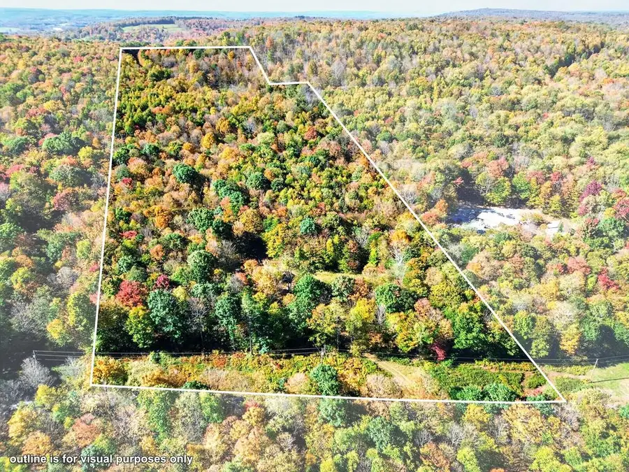 778 Junks Pond Rd, New Albany, PA 18833 - #2