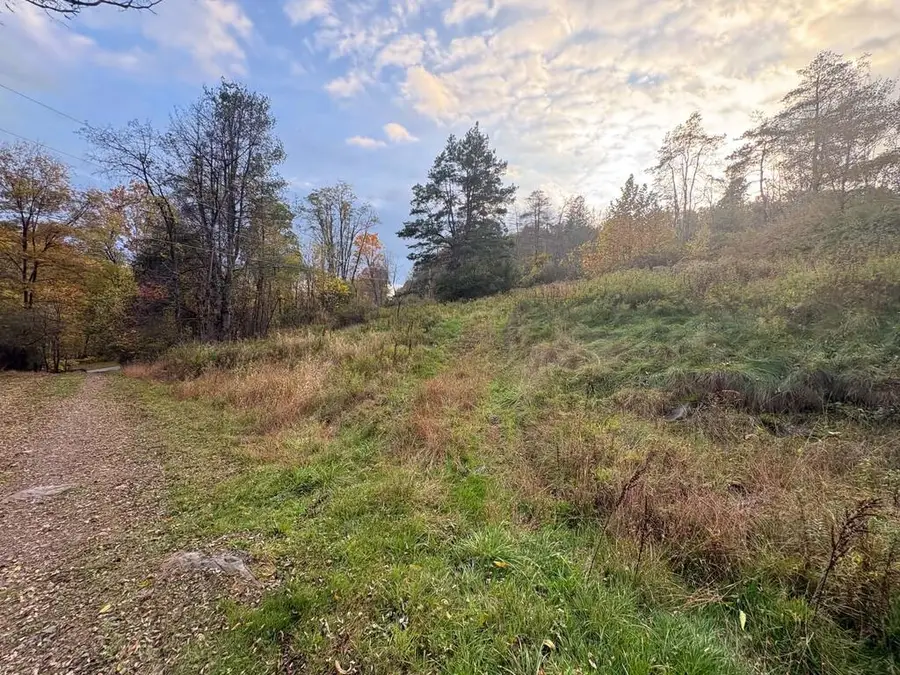 4763 State Route 187, Sugar Run, PA 18846 - #3